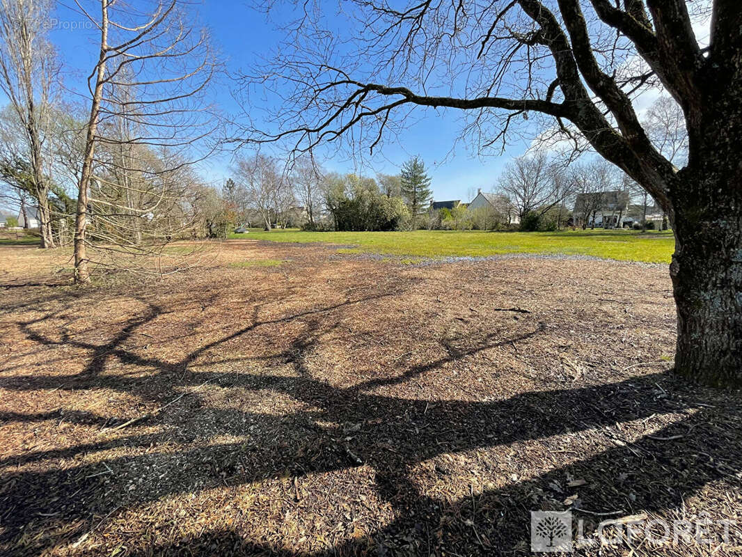 Terrain à MERLEVENEZ