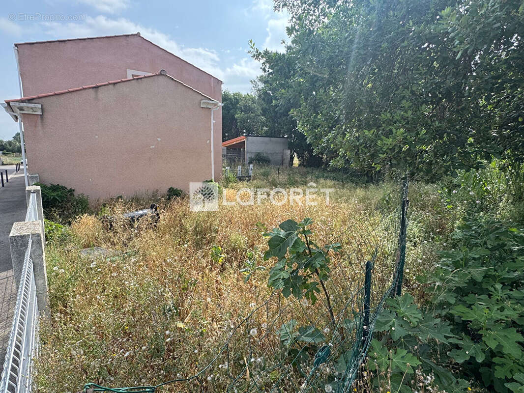 Maison à PEZILLA-LA-RIVIERE