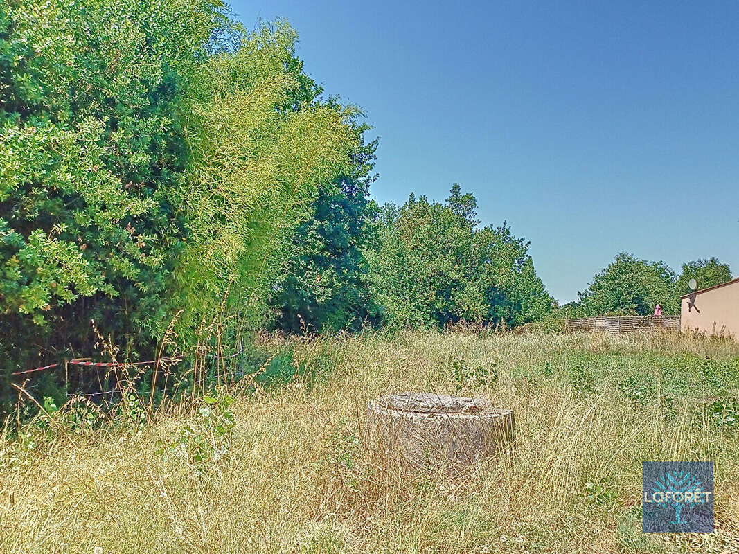 Terrain à NOTRE-DAME-DE-RIEZ