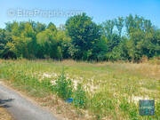 Terrain à NOTRE-DAME-DE-RIEZ