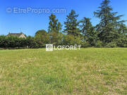 Terrain à DOUE-LA-FONTAINE