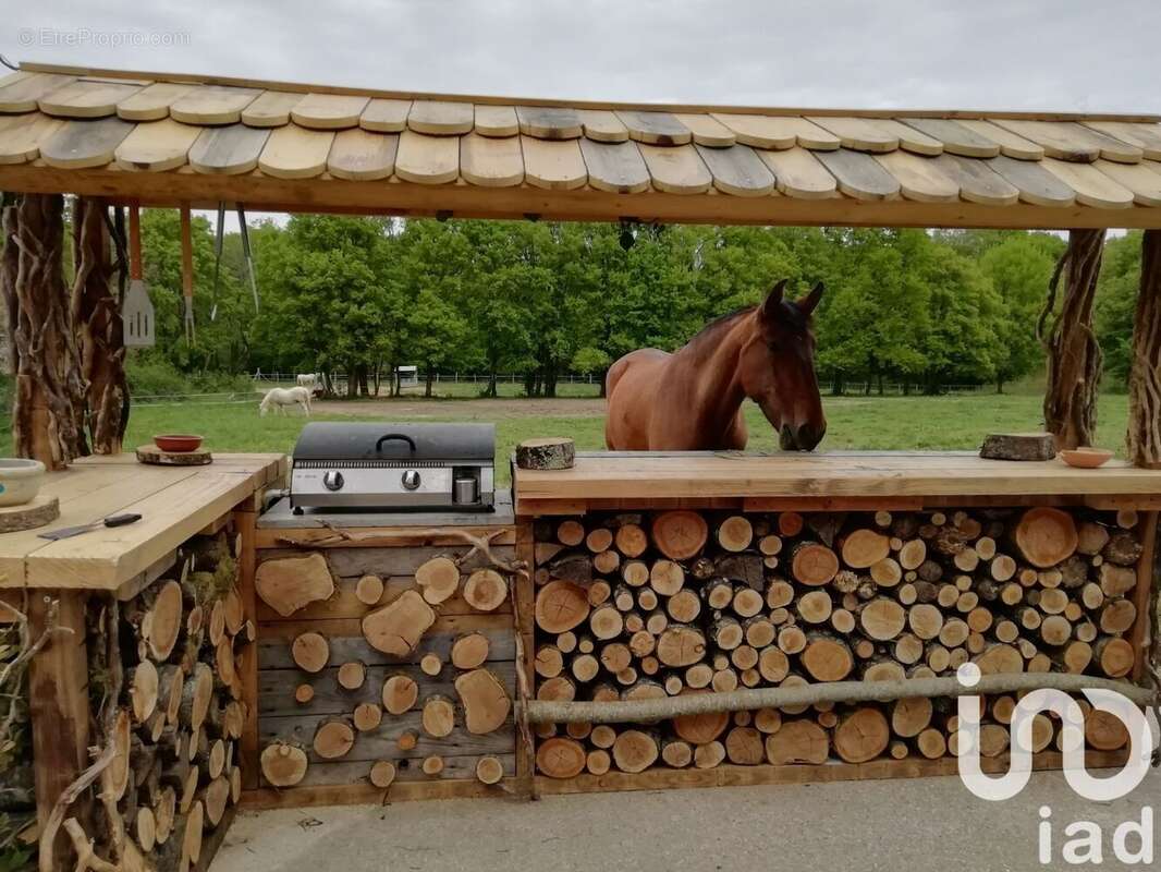 Photo 3 - Maison à LES BORDES