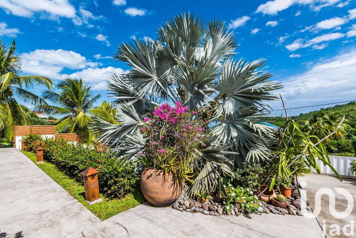 Photo 9 - Appartement à LE VAUCLIN