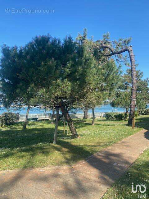 Photo 7 - Appartement à ARCACHON