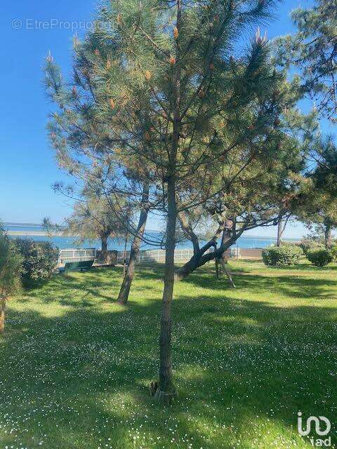 Photo 8 - Appartement à ARCACHON