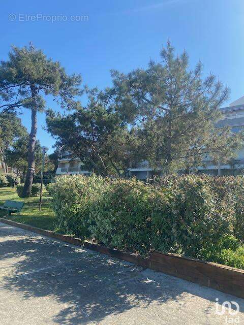 Photo 9 - Appartement à ARCACHON