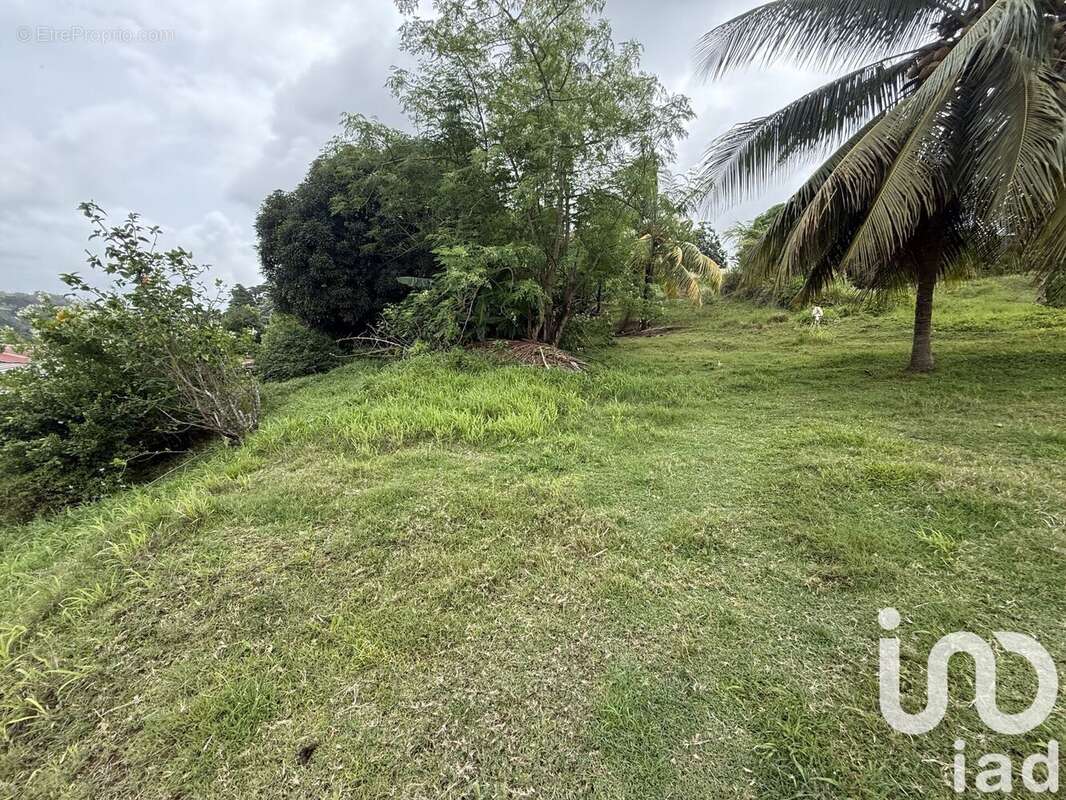 Photo 7 - Maison à LA TRINITE