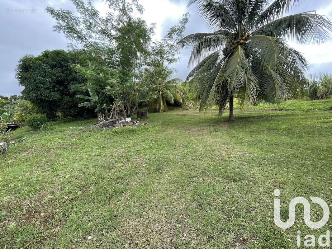 Photo 9 - Maison à LA TRINITE