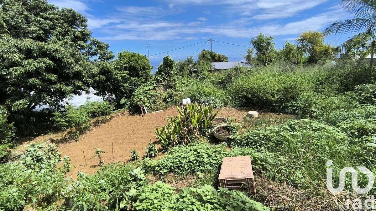 Photo 2 - Terrain à SAINT-JOSEPH