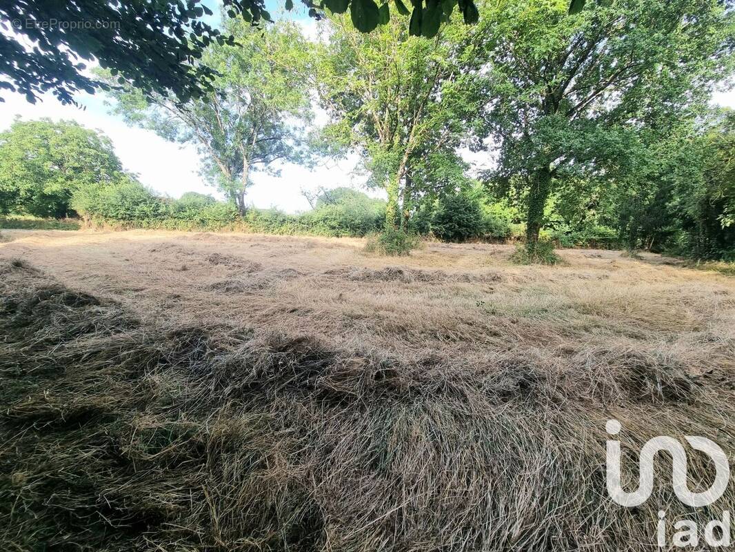 Photo 1 - Terrain à SAINT-LAURENT-DE-LA-SALLE