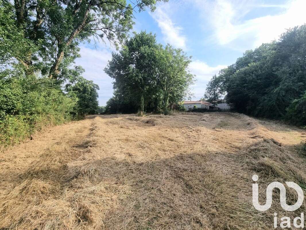 Photo 3 - Terrain à SAINT-LAURENT-DE-LA-SALLE