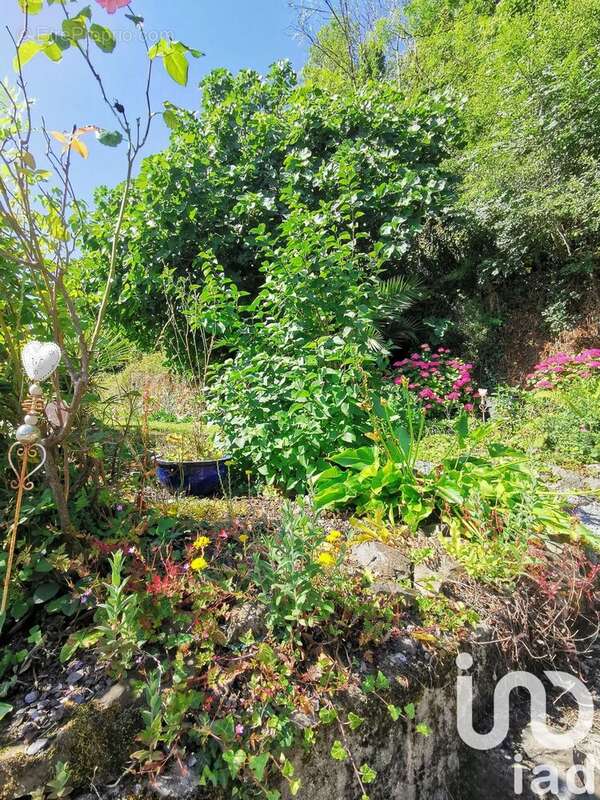 Photo 4 - Maison à PLOEZAL