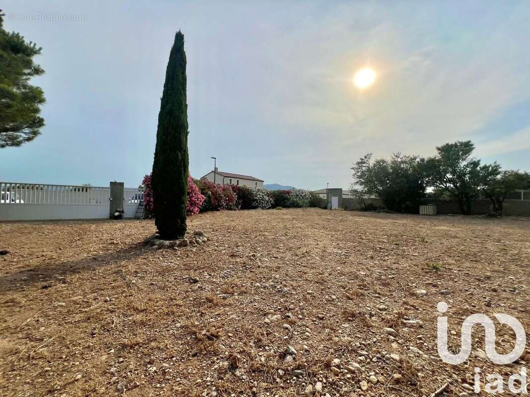 Photo 2 - Terrain à LA PALME