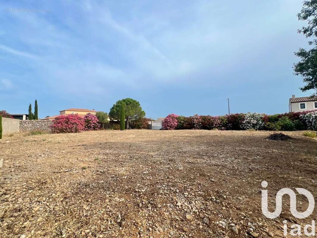 Photo 3 - Terrain à LA PALME