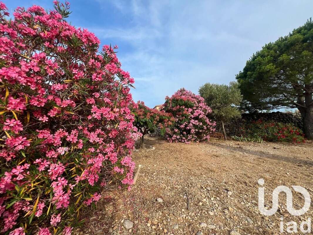 Photo 4 - Terrain à LA PALME