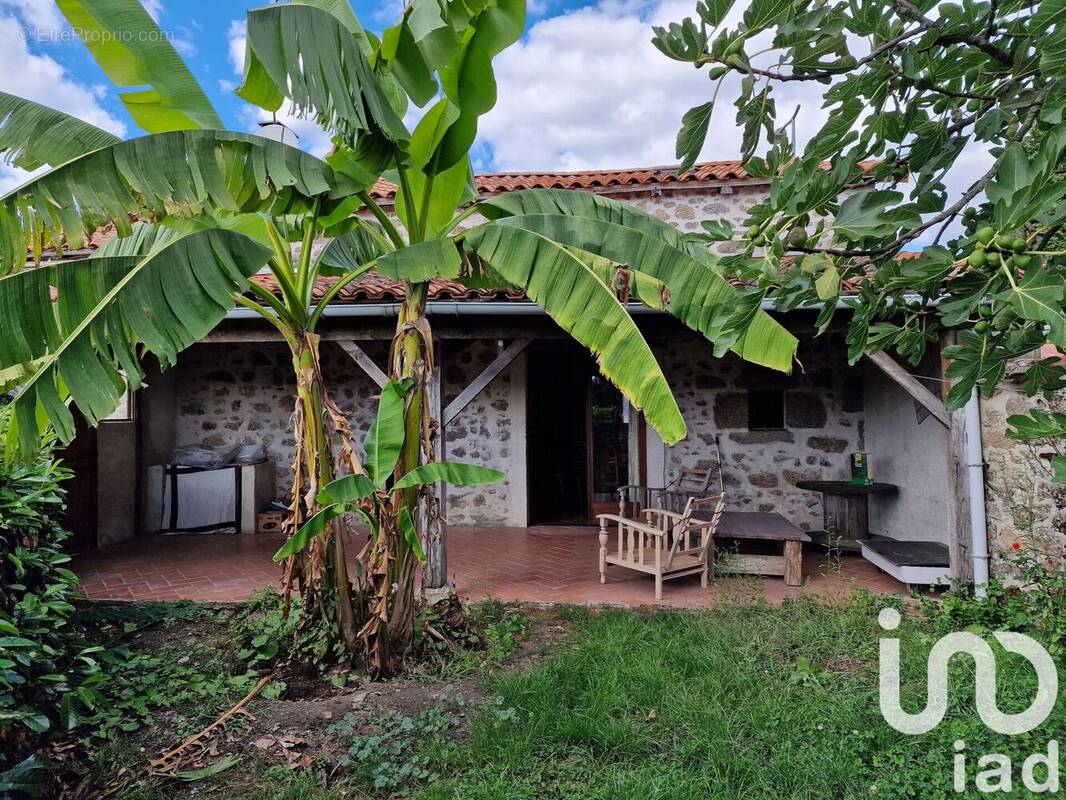 Photo 1 - Maison à SAINT-ESTEPHE