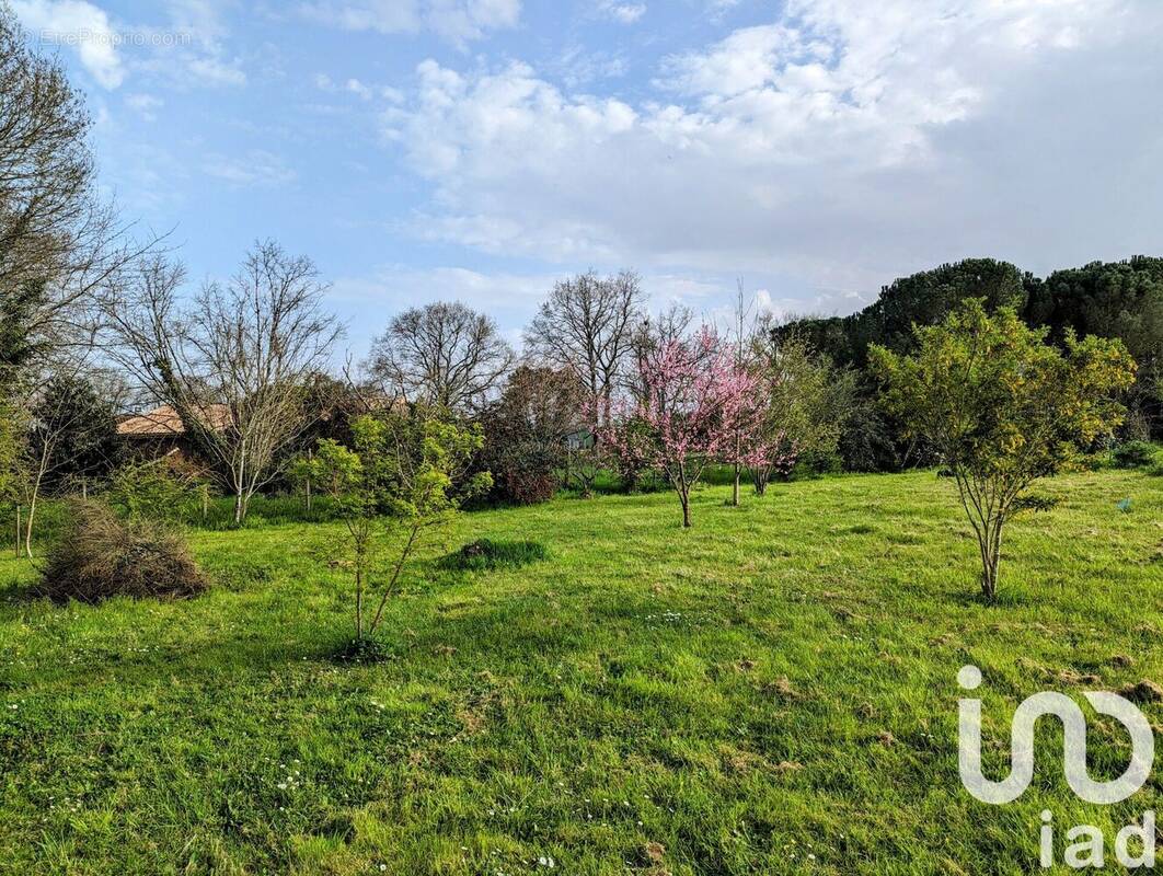 Photo 1 - Terrain à SAINT-SEURIN-SUR-L&#039;ISLE