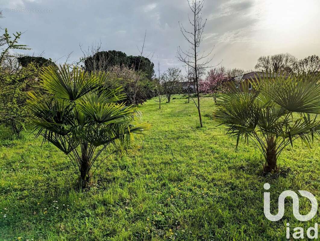 Photo 3 - Terrain à SAINT-SEURIN-SUR-L&#039;ISLE