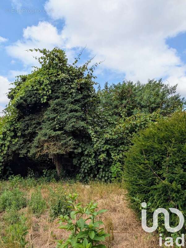 Photo 2 - Maison à PESSAC-SUR-DORDOGNE