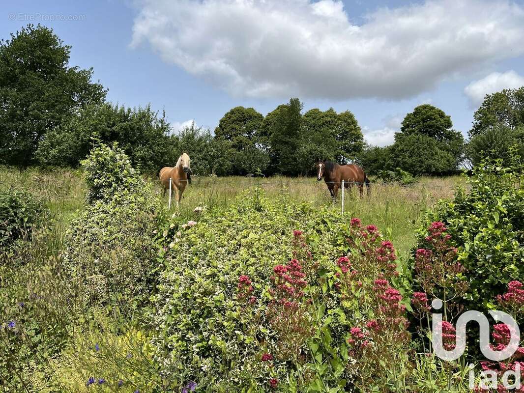 Photo 2 - Maison à PLUMIEUX