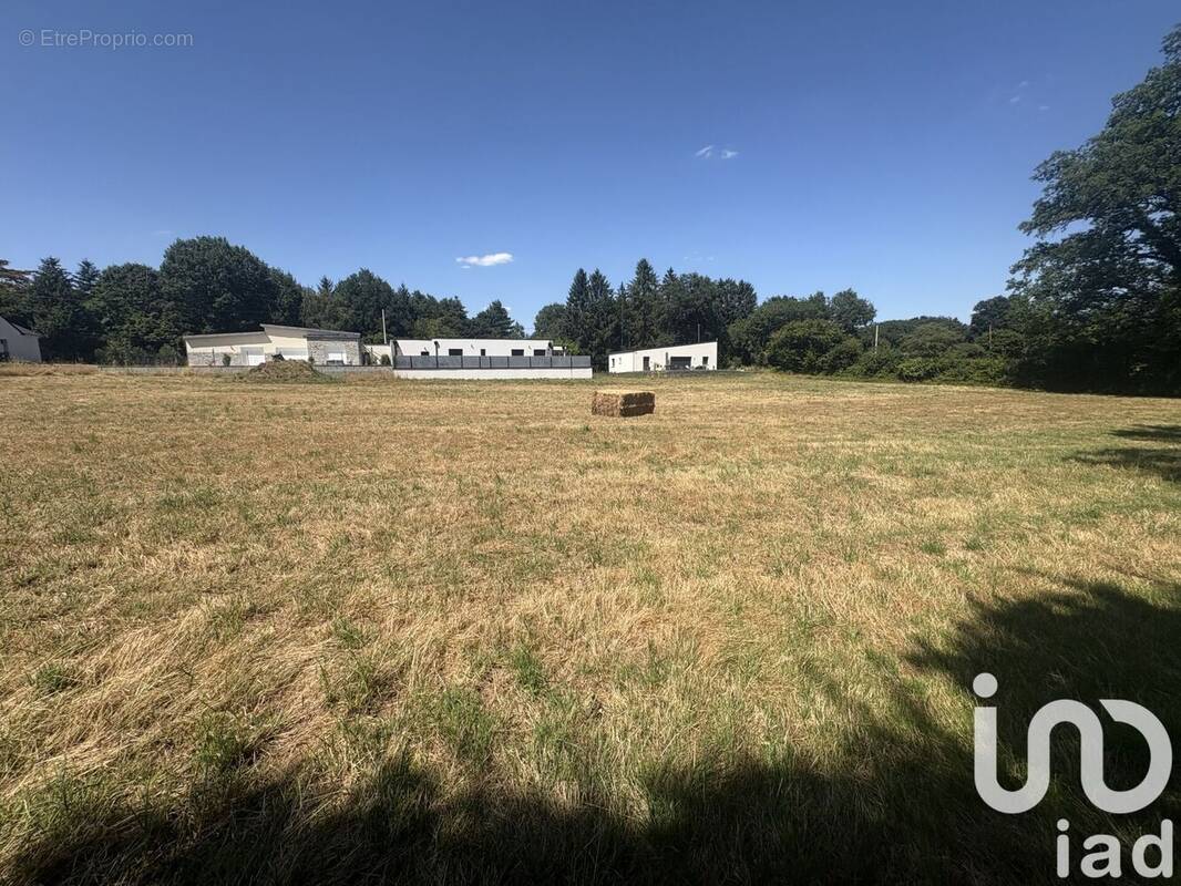 Photo 1 - Terrain à CHATEAUBRIANT