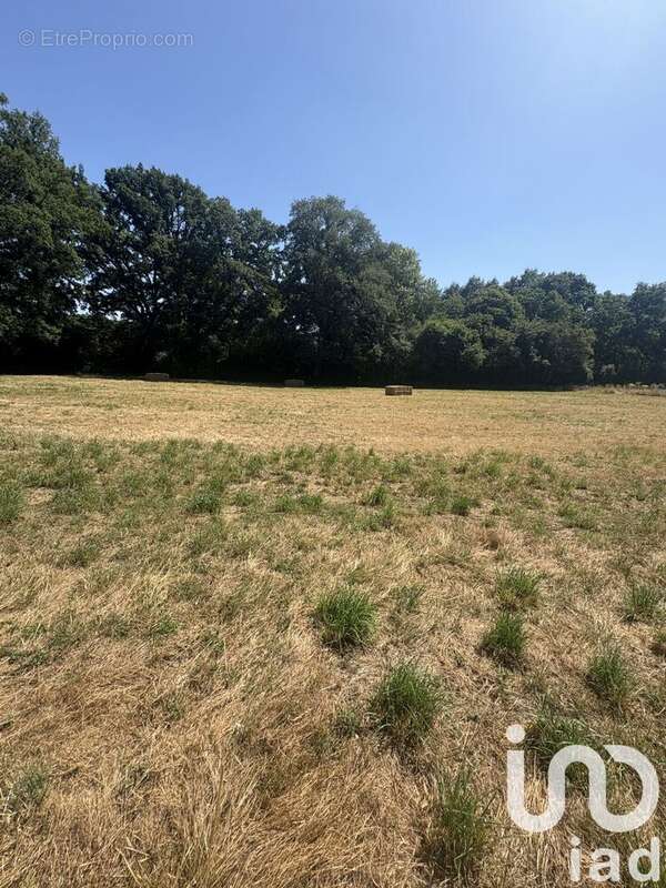 Photo 2 - Terrain à CHATEAUBRIANT