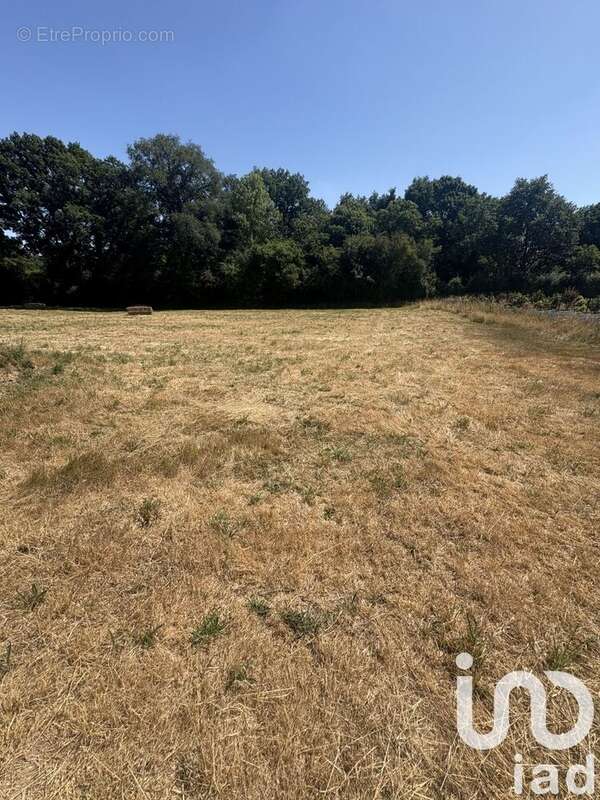 Photo 2 - Terrain à CHATEAUBRIANT