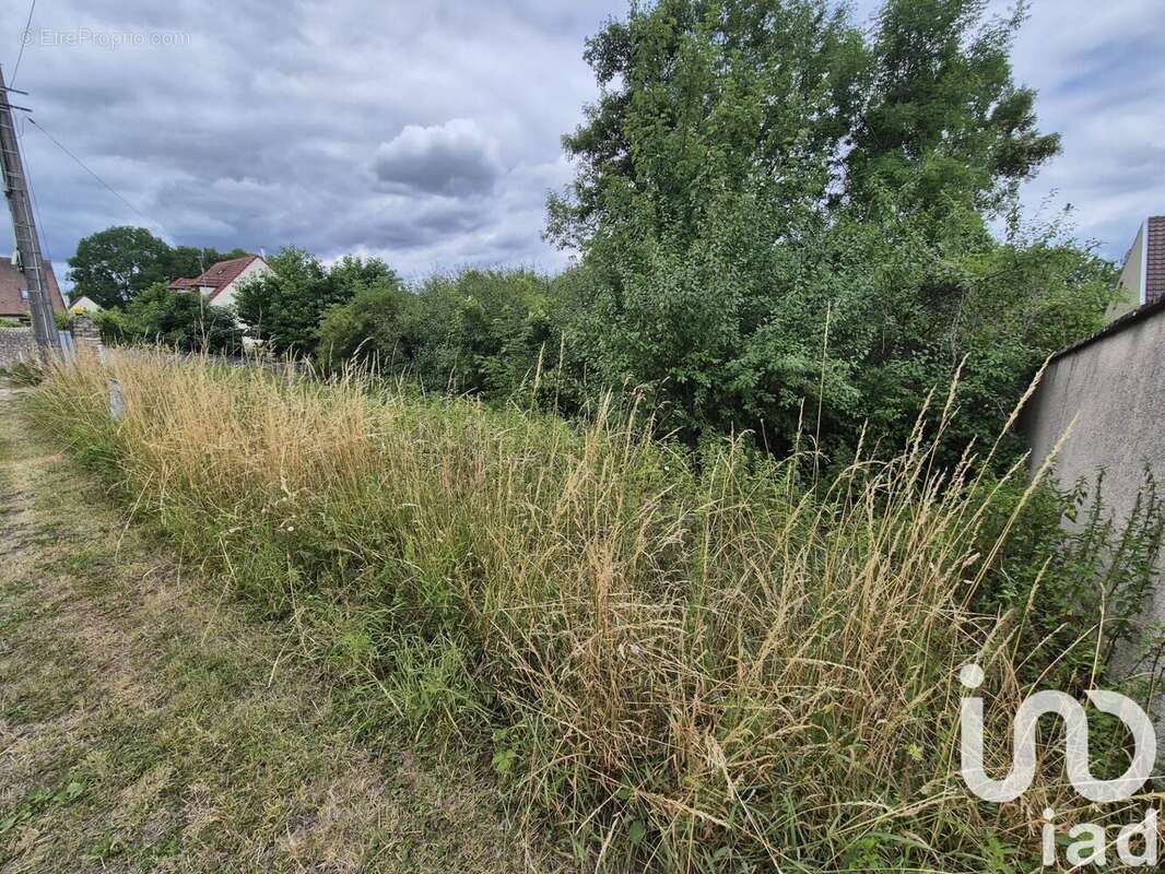 Photo 2 - Terrain à VOULANGIS