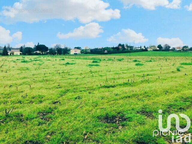 Photo 1 - Terrain à LAGUPIE