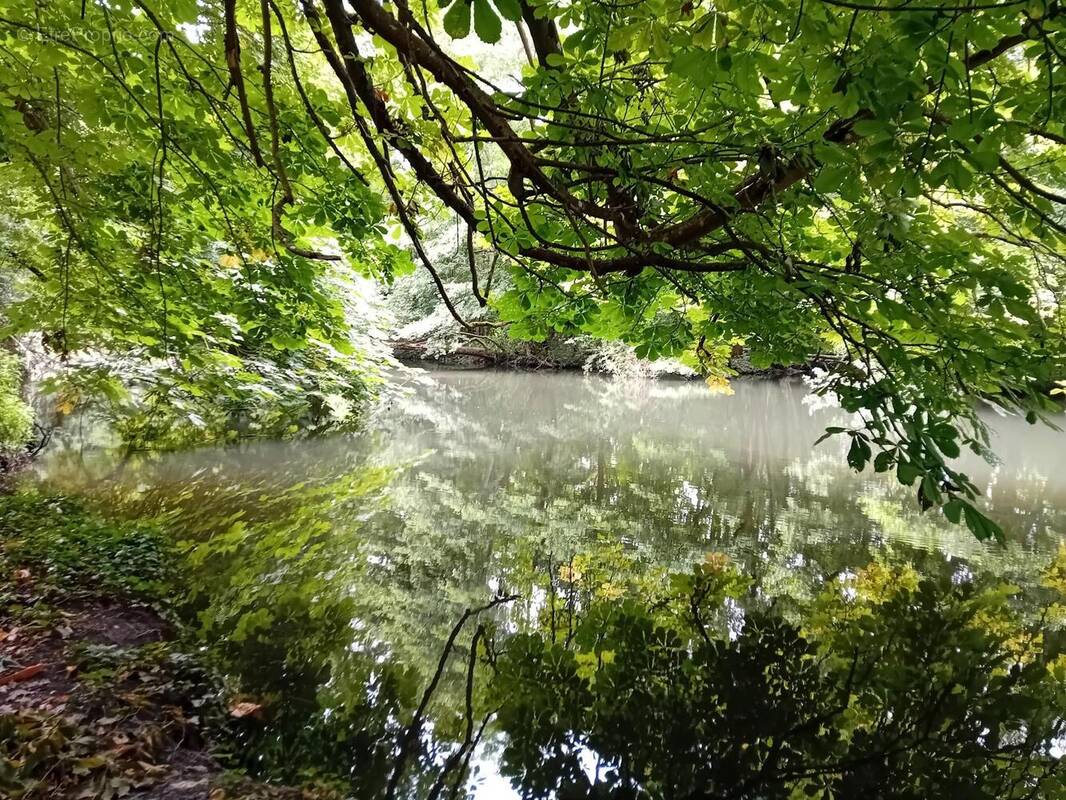 Photo 1 - Terrain à ANET