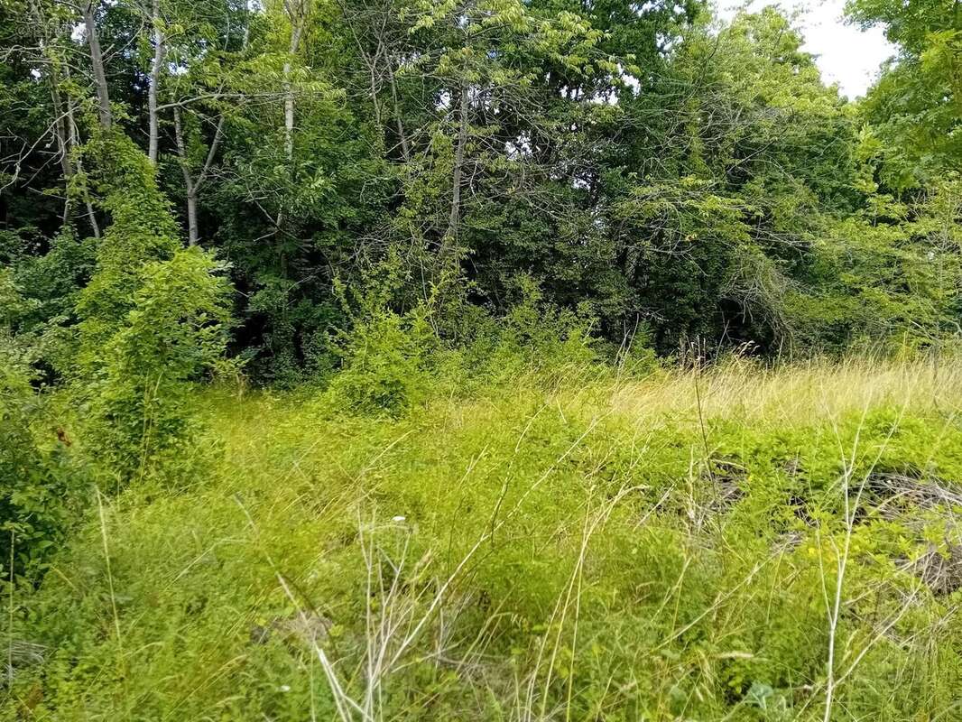 Photo 3 - Terrain à ANET