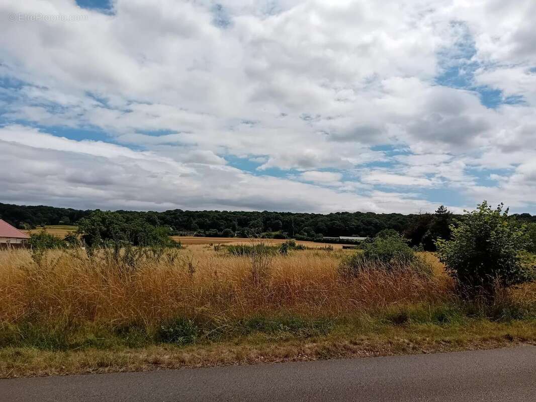 Photo 4 - Terrain à ANET