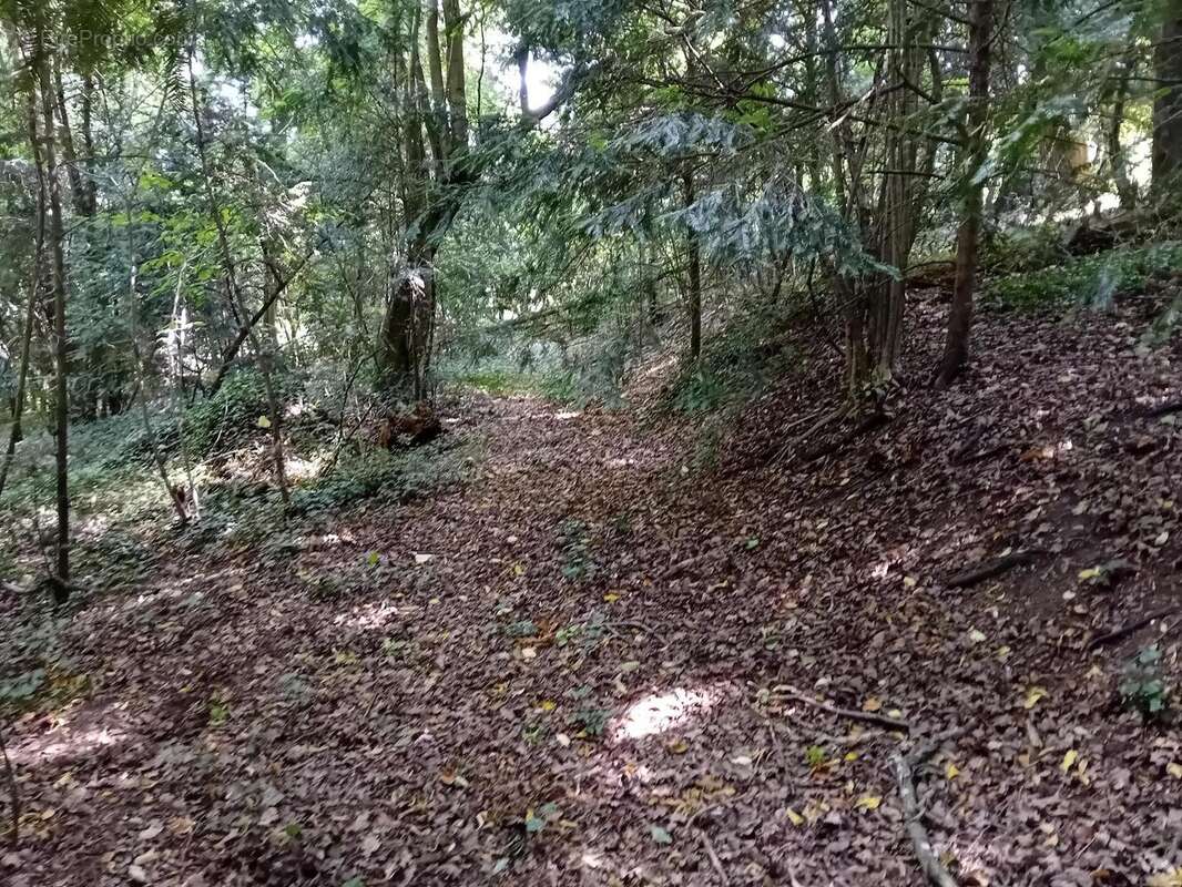 Photo 5 - Terrain à ANET