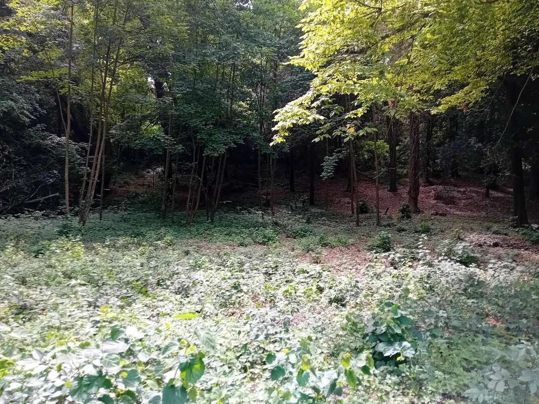 Photo 6 - Terrain à ANET