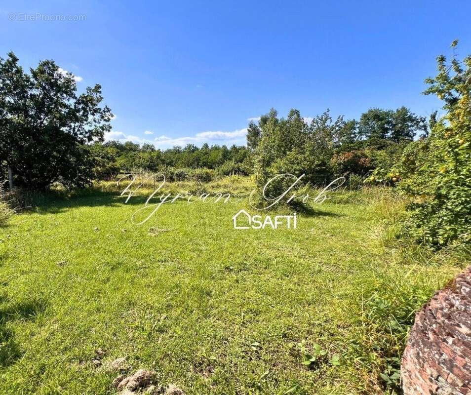 Photo 3 - Terrain à MONTAUBAN