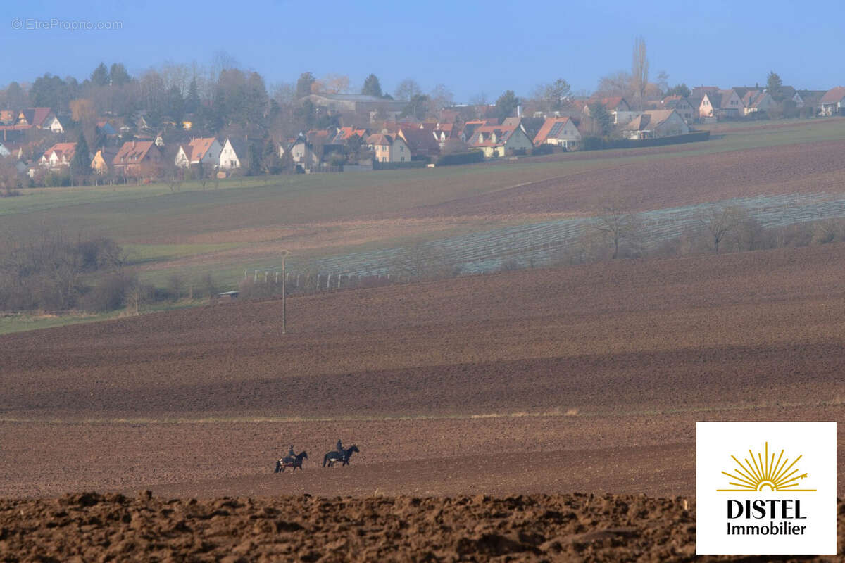 Appartement à TRUCHTERSHEIM