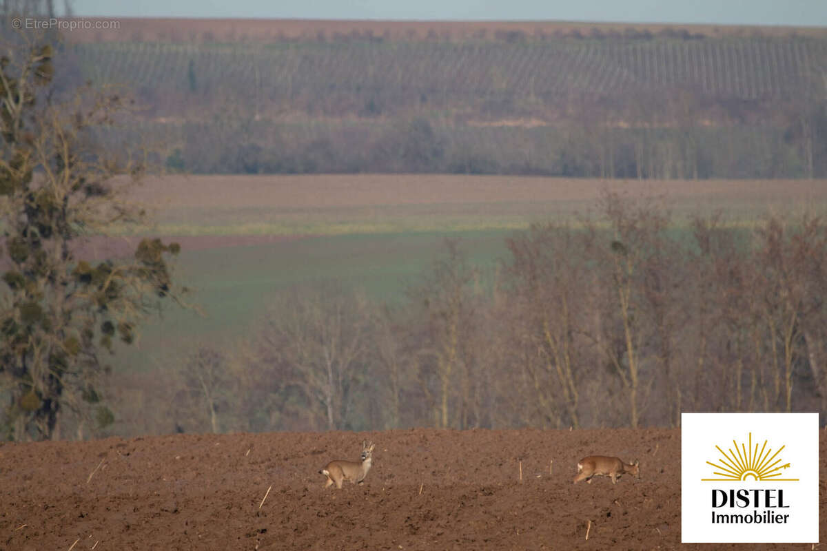 Appartement à TRUCHTERSHEIM