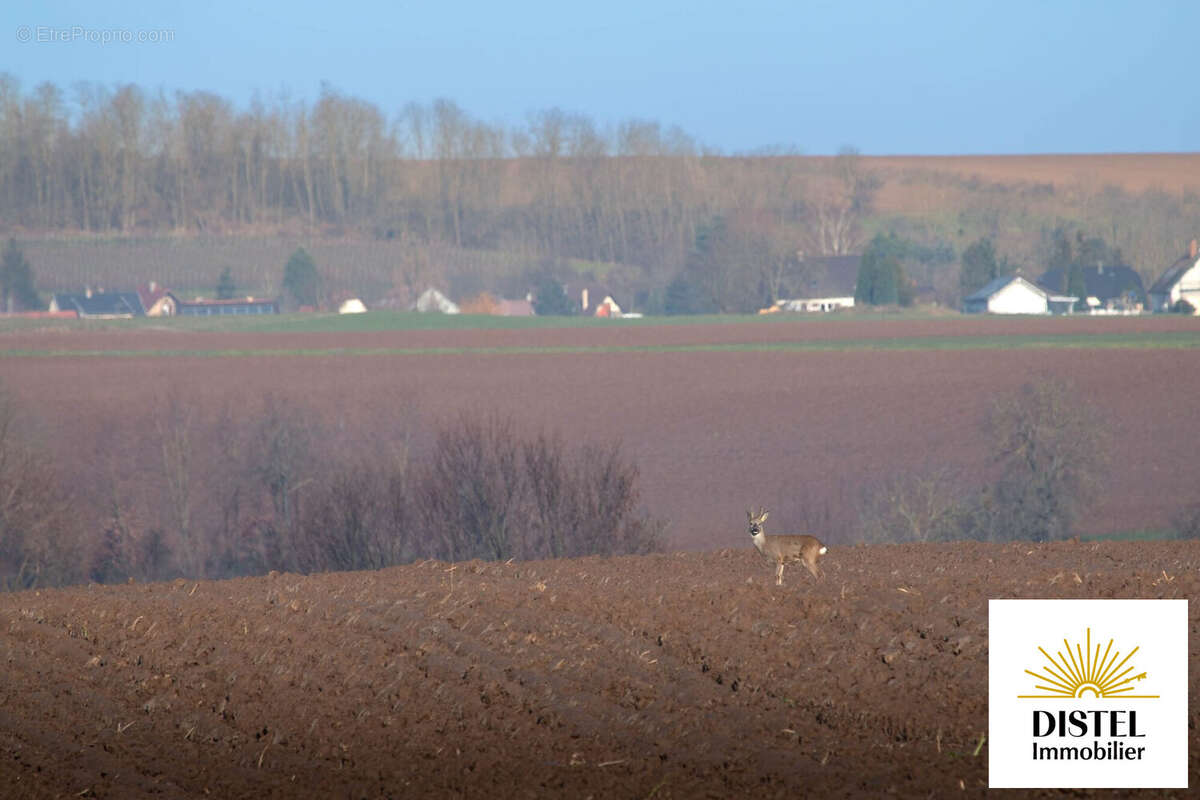 Appartement à TRUCHTERSHEIM