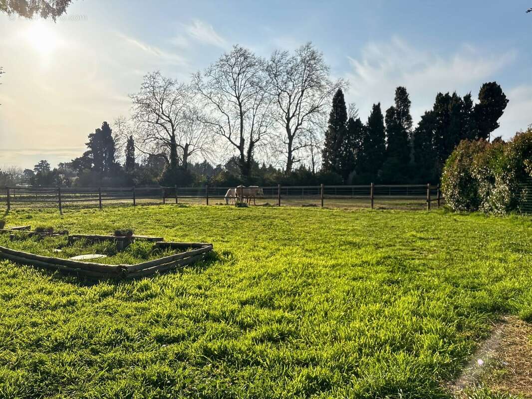 Maison à CHATEAURENARD