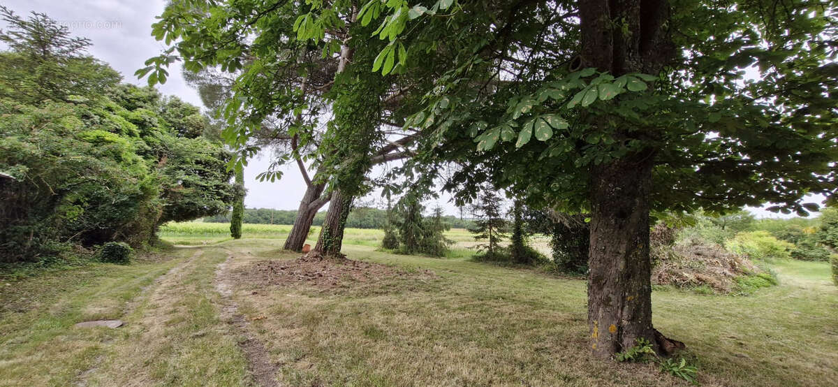 Maison à SAINTE-RAMEE