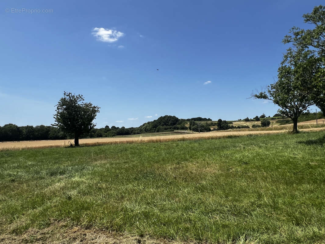 Maison à SAINT-BONNET-SUR-GIRONDE
