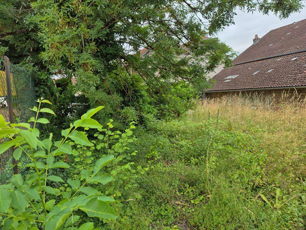 Maison à VAUVILLERS