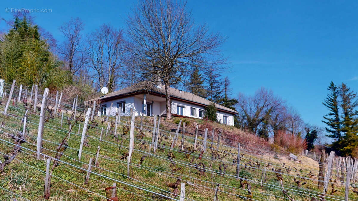 Maison à AVANNE-AVENEY