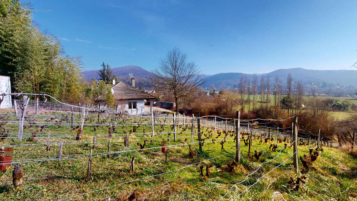 Maison à AVANNE-AVENEY