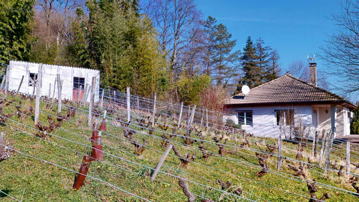 Maison à AVANNE-AVENEY