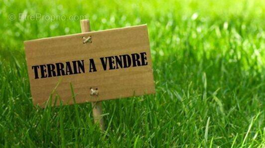 Terrain à MORESTEL