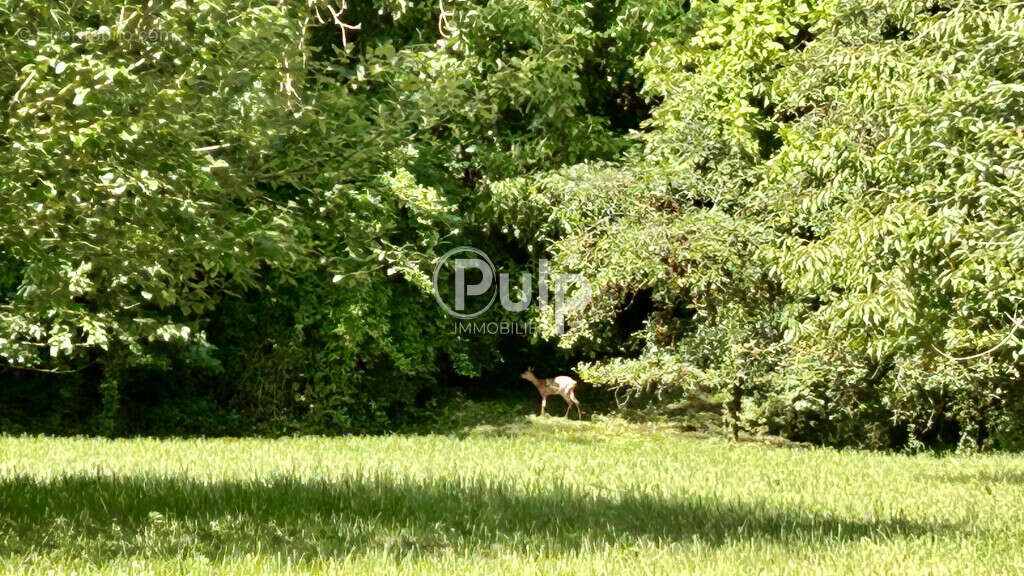 Maison à GIVENCHY-EN-GOHELLE