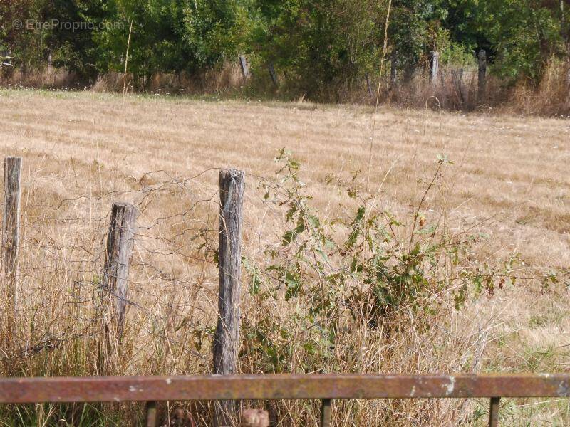 Terrain à SAINT-MEDARD-DE-GUIZIERES