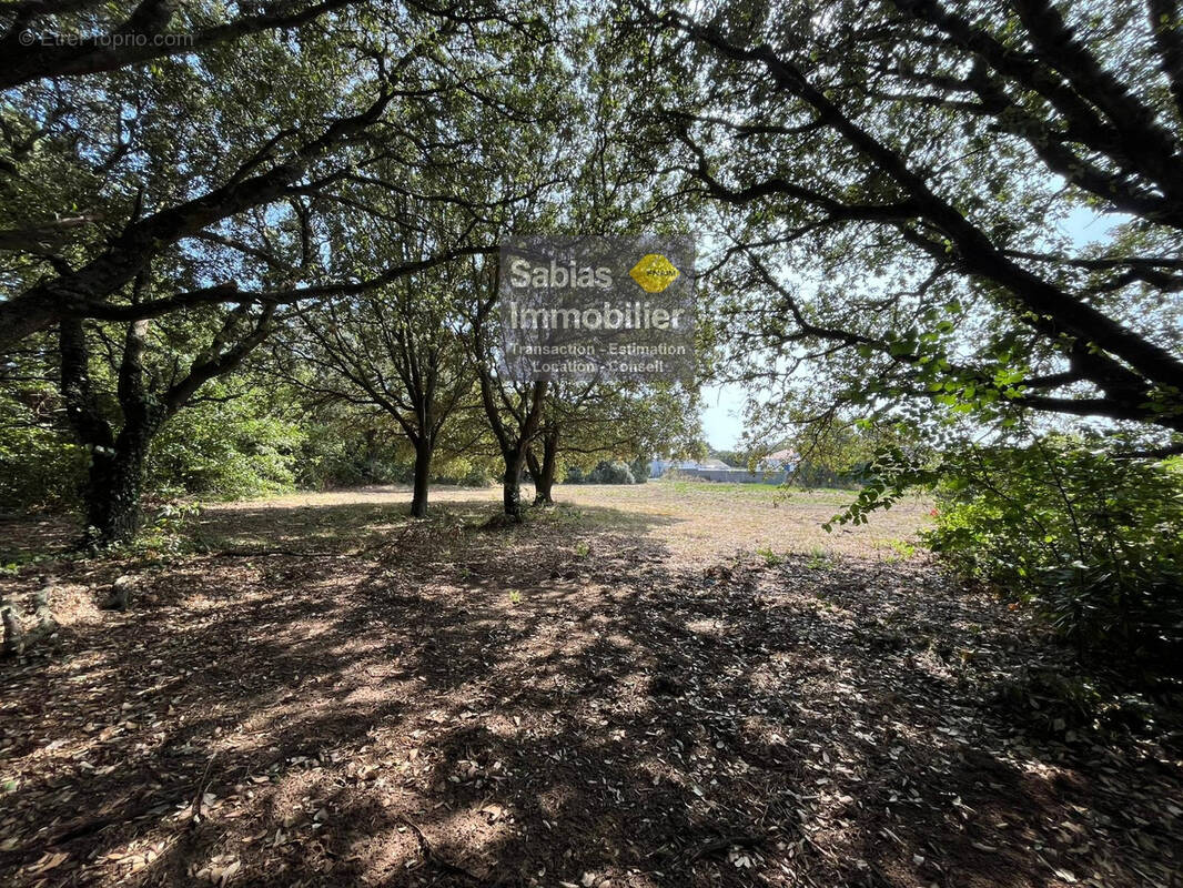 Terrain à L&#039;ILE-D&#039;YEU