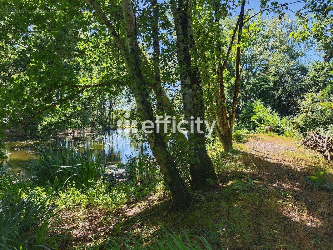 Maison à PLOMODIERN